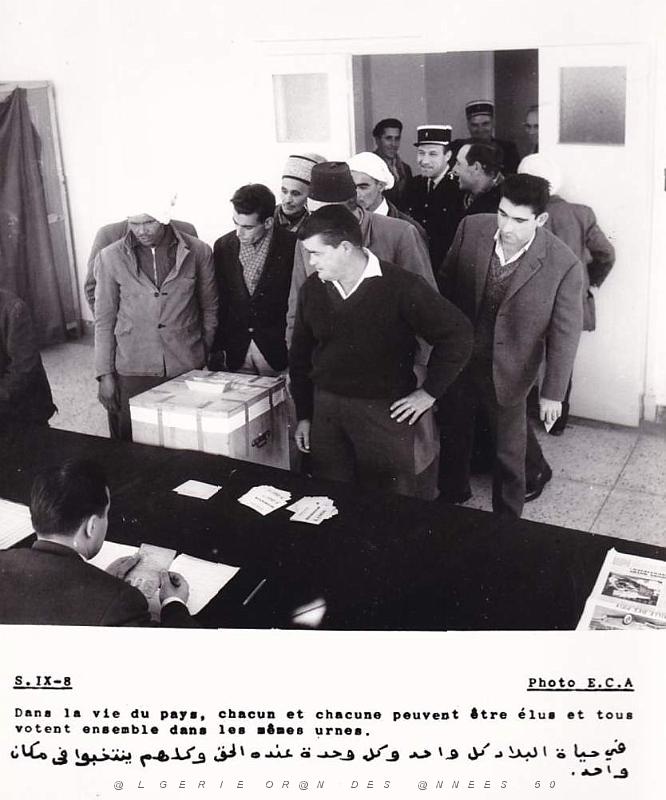 Algerie propagande 019.jpg